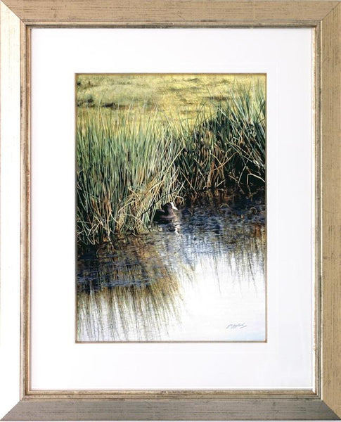 A New Day Coot bird painting acrylic framed animal artist J. Gaylard