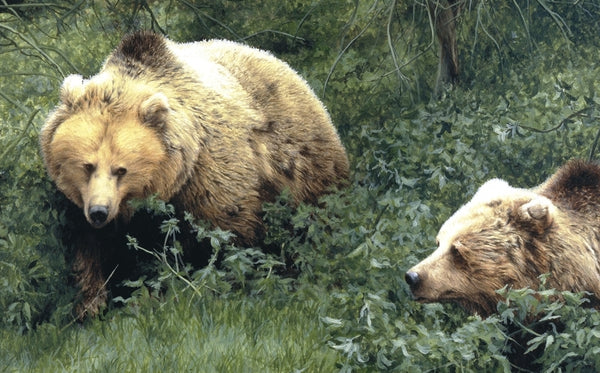 Approaching European Brown Bears wildlife art print detail animal art artist J. Gaylard