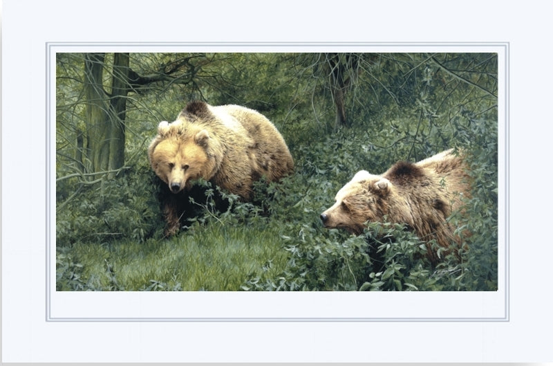 Approaching' European Brown Bears- Wildlife Art Print – Charlfred 