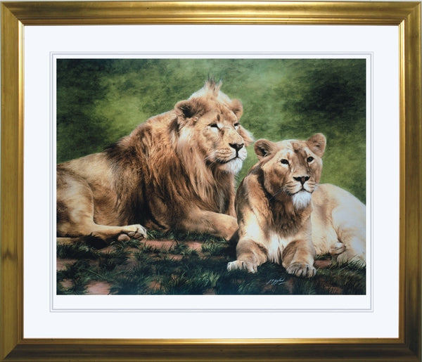 Asiatic lion with lioness wildlife art print framed animal large wall art artist J. Gaylard.