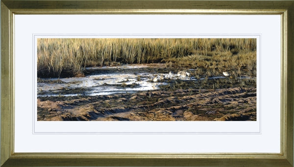 Evening knot birds wildlife art print framed landscape painting artist Jacqueline Gaylard
