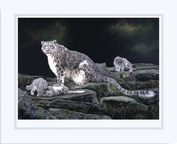 Keeping Watch snow leopard and kittens big cat wildlife art print artist Jacqueline Gaylard.