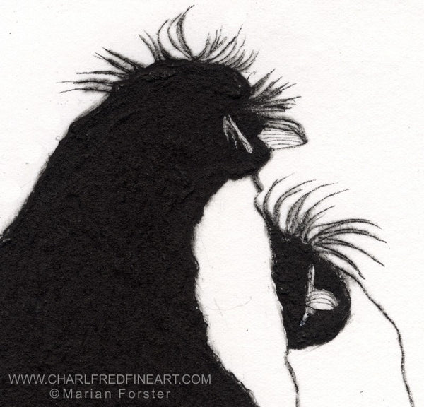 Rock Hopper penguin animal art wildlife print by Marian Forster.