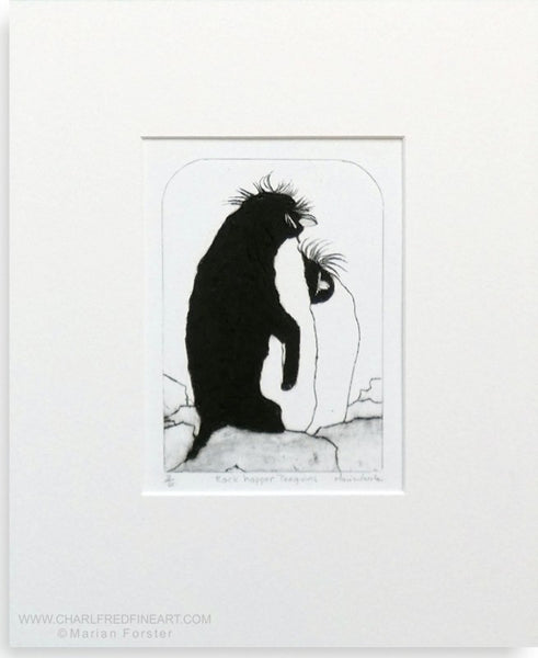 Rock Hopper penguin wildlife art print by Marian Forster.