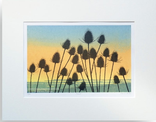 Teasel flower landscape limited print by Marian Forster.