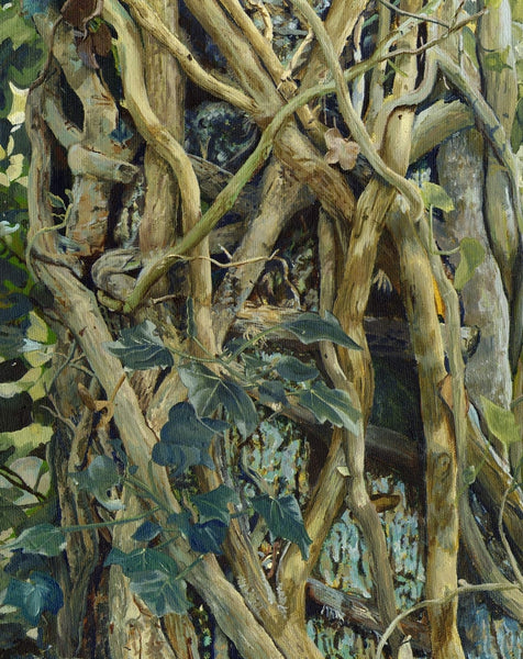 Old and New ivy plant wall art Acrylic flower painting artist carole gaylard