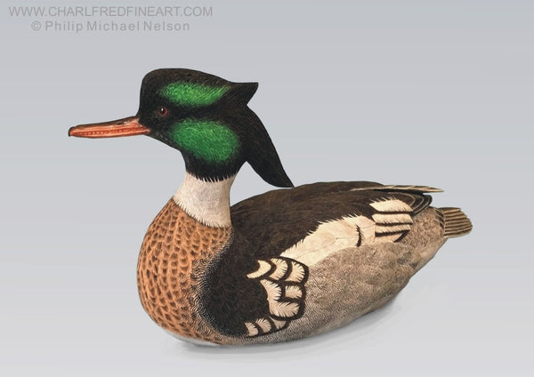 Red Breasted Merganser Duck bird sculpture by Philip Nelson