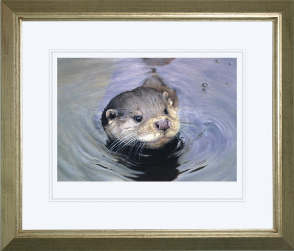 Quick Dip otter wildlife art print framed animal art artist J. Gaylard