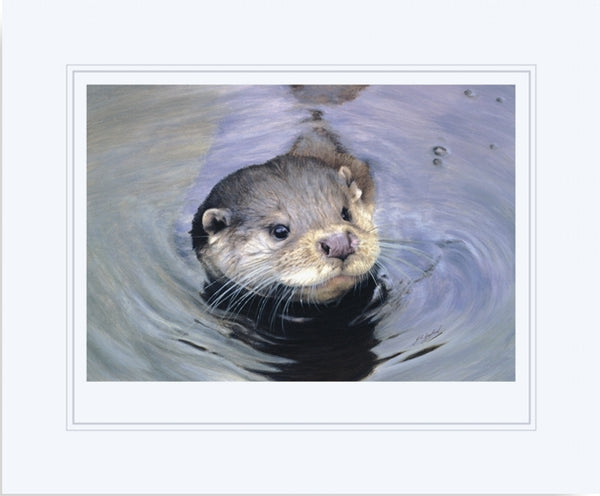 Quick Dip otter wildlife art print mounted animal art artist J. Gaylard