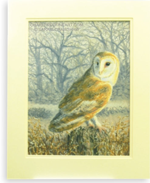 'Hunter At Dusk' Barn Owl Mounted Pastel bird painting by Sarais Crawshaw.