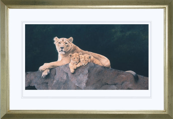 Watchful Asiatic Lioness with cubs wildlife art print framed animal art cat artist J. Gaylard
