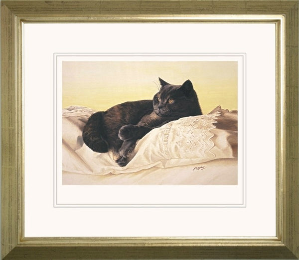 Bright Eyes british shorthair blue cream cat art print animal artist Jacqueline Gaylard