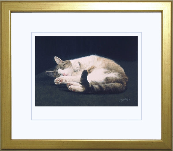 Dreaming tabby cat art print framed, artist Jacqueline Gaylard.