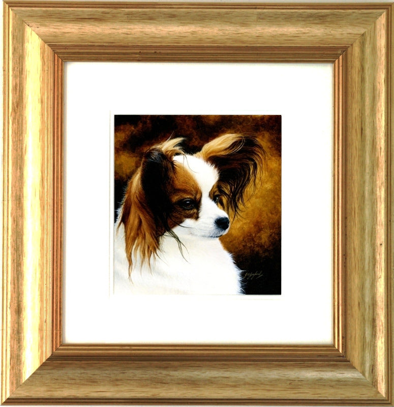 Dog Papillon, sitting available as Framed Prints, Photos, Wall Art