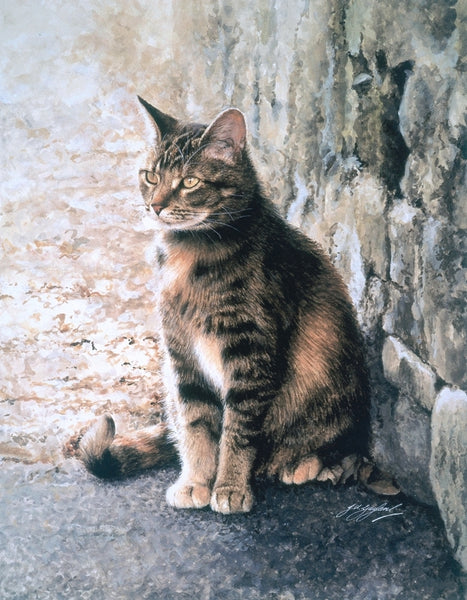 Penny's Lane tabby tortoiseshell cat art print by Jacqueline Gaylard.