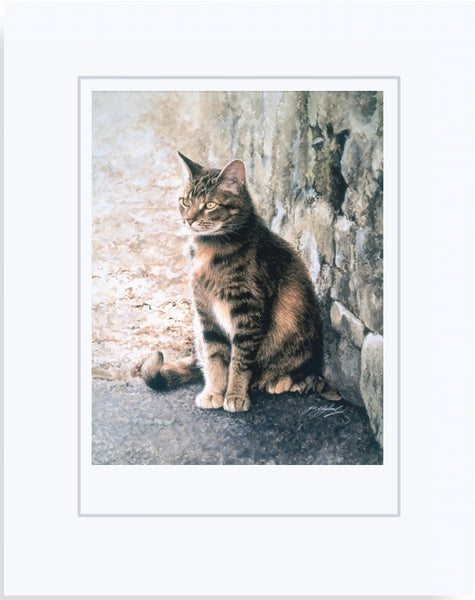 Penny's Lane tabby tortoiseshell cat art print, animal art by Jacqueline Gaylard.