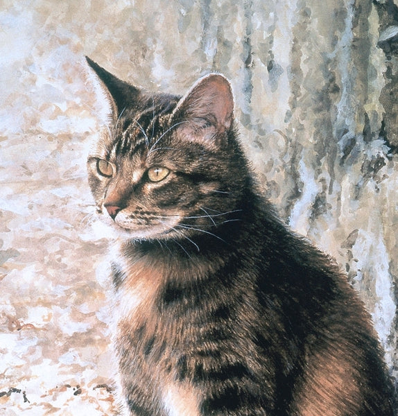 Penny's Lane tabby tortoiseshell cat art print detail, by Jacqueline Gaylard.