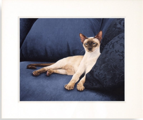Sapphire Siamese Cat painting, animal artist Jacqueline Gaylard.