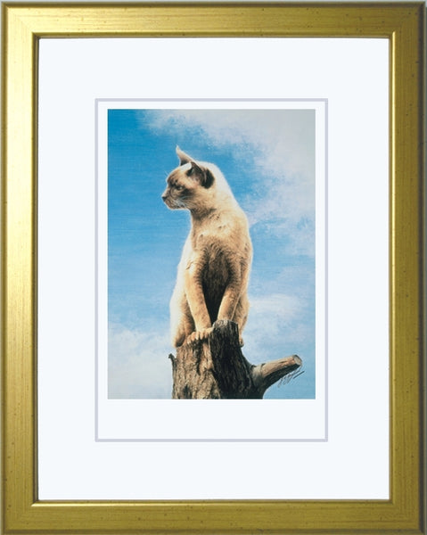 The Look-Out Post Burmese cat art print framed, by Jacqueline Gaylard
