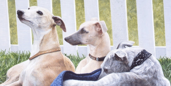 Three Whippets dogs animal art painting detail, artist Jacqueline Gaylard.