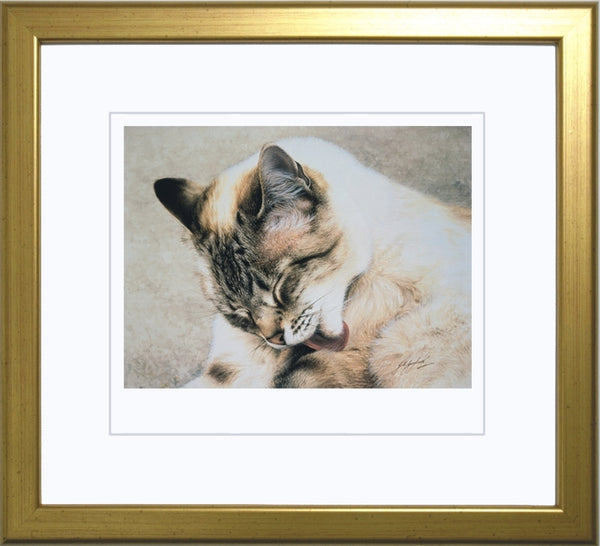 Tosca Siamese Persian cat art print framed, by Jacqueline Gaylard.