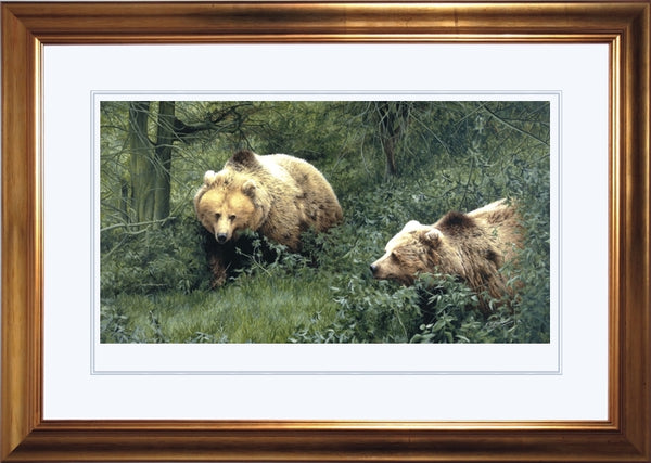Approaching European Brown Bears wildlife art print framed animal art artist J. Gaylard
