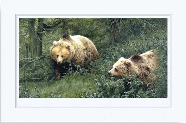 Approaching European Brown Bears wildlife art print mounted animal art artist J. Gaylard