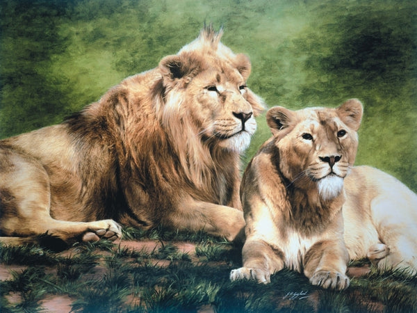 Asiatic lion with lioness wildlife art print animal large wall art artist J. Gaylard.