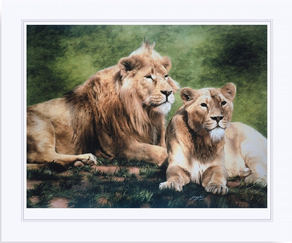Asiatic lion with lioness wildlife art print big cat wall art artist J. Gaylard.