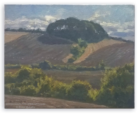 Fields with Hilltop Wood landscape canvas painting by Bruce Mulcahy RSMA.