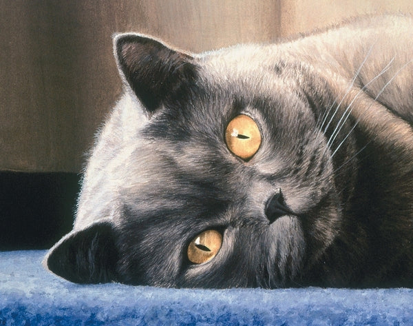 Cyan on the stair british shorthair blue grey cat art print detail animal art artist J. Gaylard