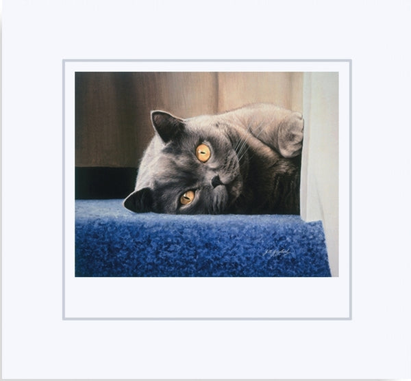 Cyan on the stair british shorthair blue grey cat art print mounted animal art artist J. Gaylard