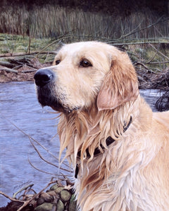 Golden retriever dog pet portrait acrylic animal art painting artist Jacqueline Gaylard