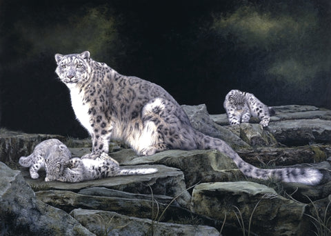 Keeping Watch snow leopard and kittens big cat wildlife art print artist J. Gaylard.