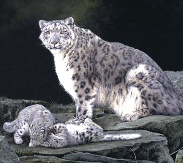Keeping Watch snow leopard and kittens big cat wildlife art print detail artist J. Gaylard.