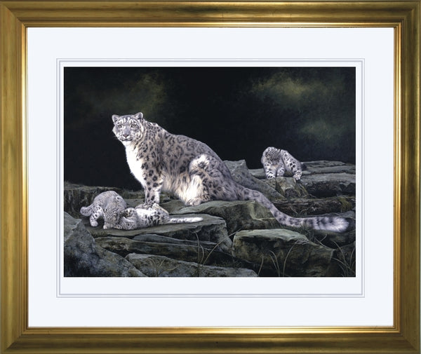 Keeping Watch snow leopard and kittens big cat wildlife art print framed artist J. Gaylard.