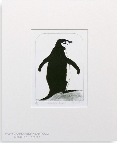 Chinstrap penguin animal art print by Marian Forster.