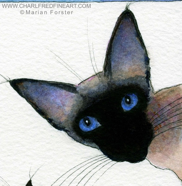 Love Siamese Seal Point cat animal art by Marian Forster.