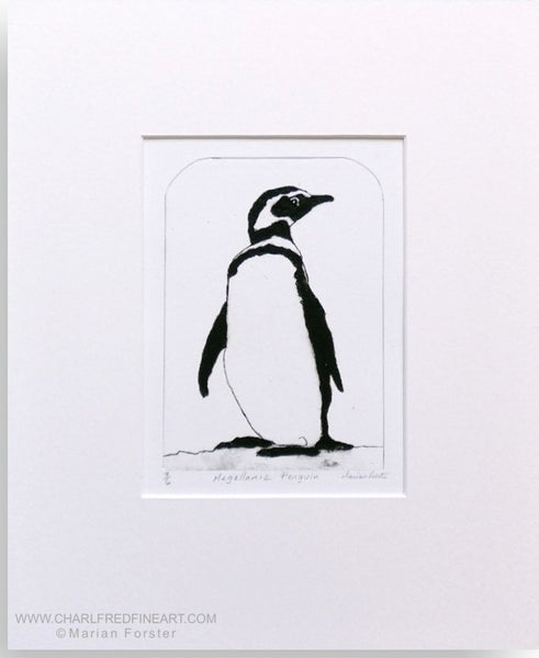 Megellanic penguin wildlife animal art print by Marian Forster.