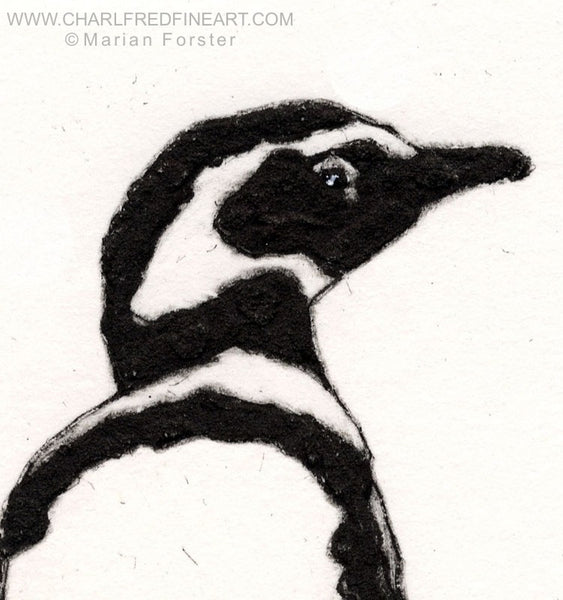 Megellanic penguin wildlife art print by Marian Forster.