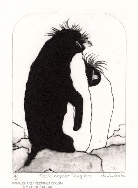 Rock Hopper penguin animal art print by Marian Forster.