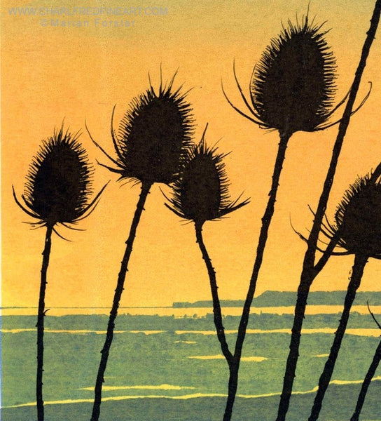 Teasel flower landscape screen print by Marian Forster.