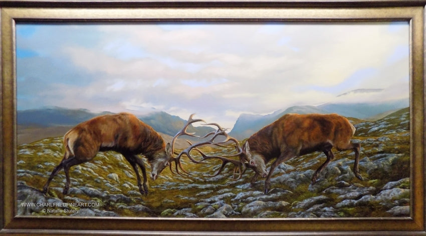 natalie-stutely-the-battle-within-red-deer-stags-animal-art-framed
