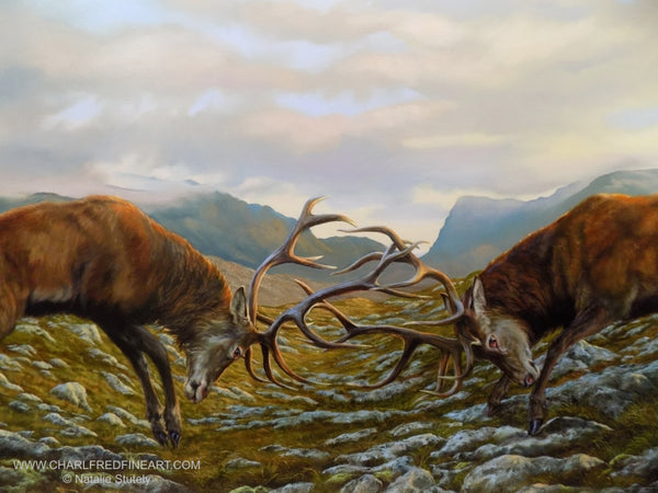 natalie-stutely-the-battle-within-red-deer-stags-wildlife-art