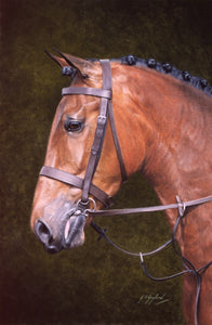 Patience horse animal art painting artist Jacqueline Gaylard.