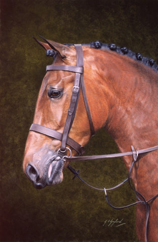 Patience horse animal art painting artist Jacqueline Gaylard.