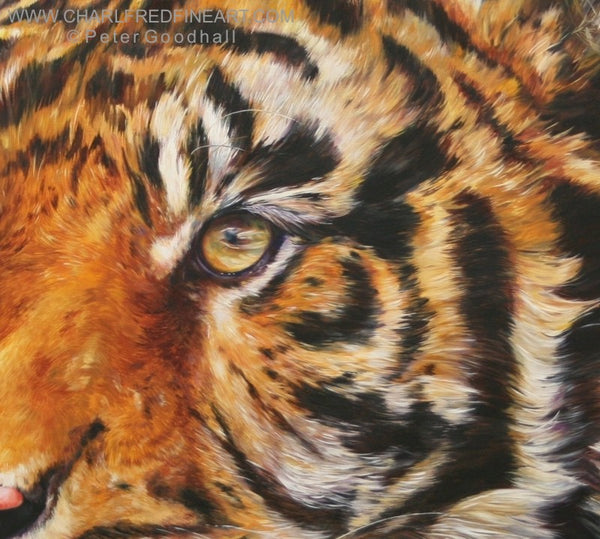 Bengal Prince Tiger animal wall art painting detail by Peter Goodhall.