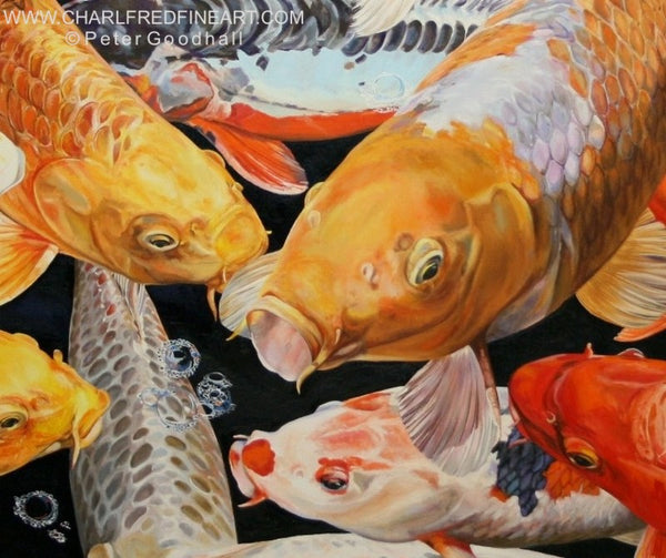 Koi Anticipation IX ornamental carp fish animal art painting by Peter Goodhall.