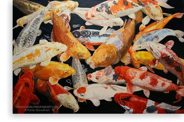 Koi Anticipation IX ornamental fish animal art painting by Peter Goodhall.