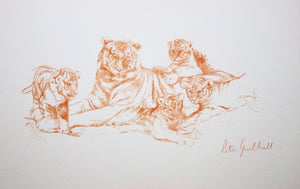 Watch with Mother Tiger with Cubs wildlife art print by Peter Goodhall.